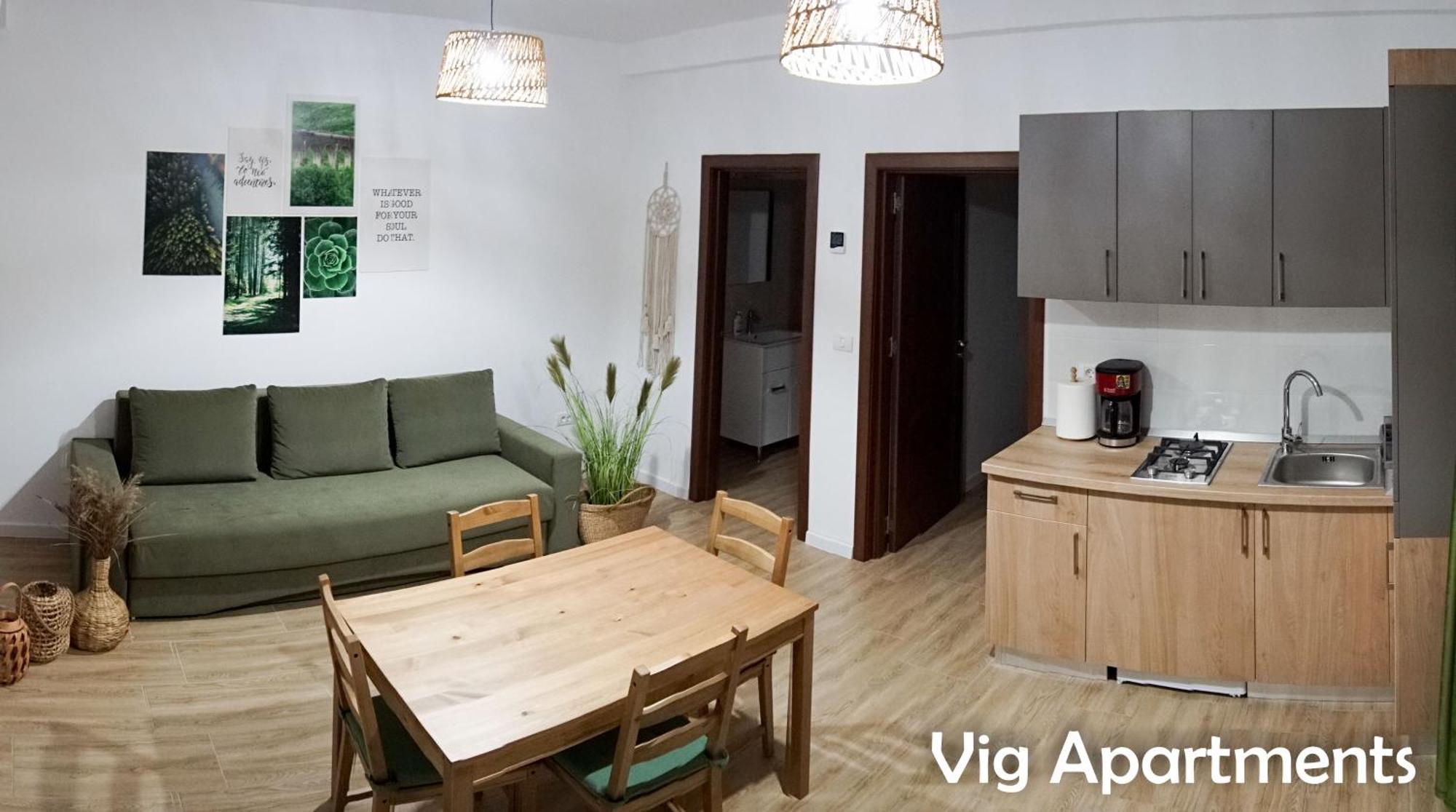 Vig Apartments Τιμισοάρα Εξωτερικό φωτογραφία