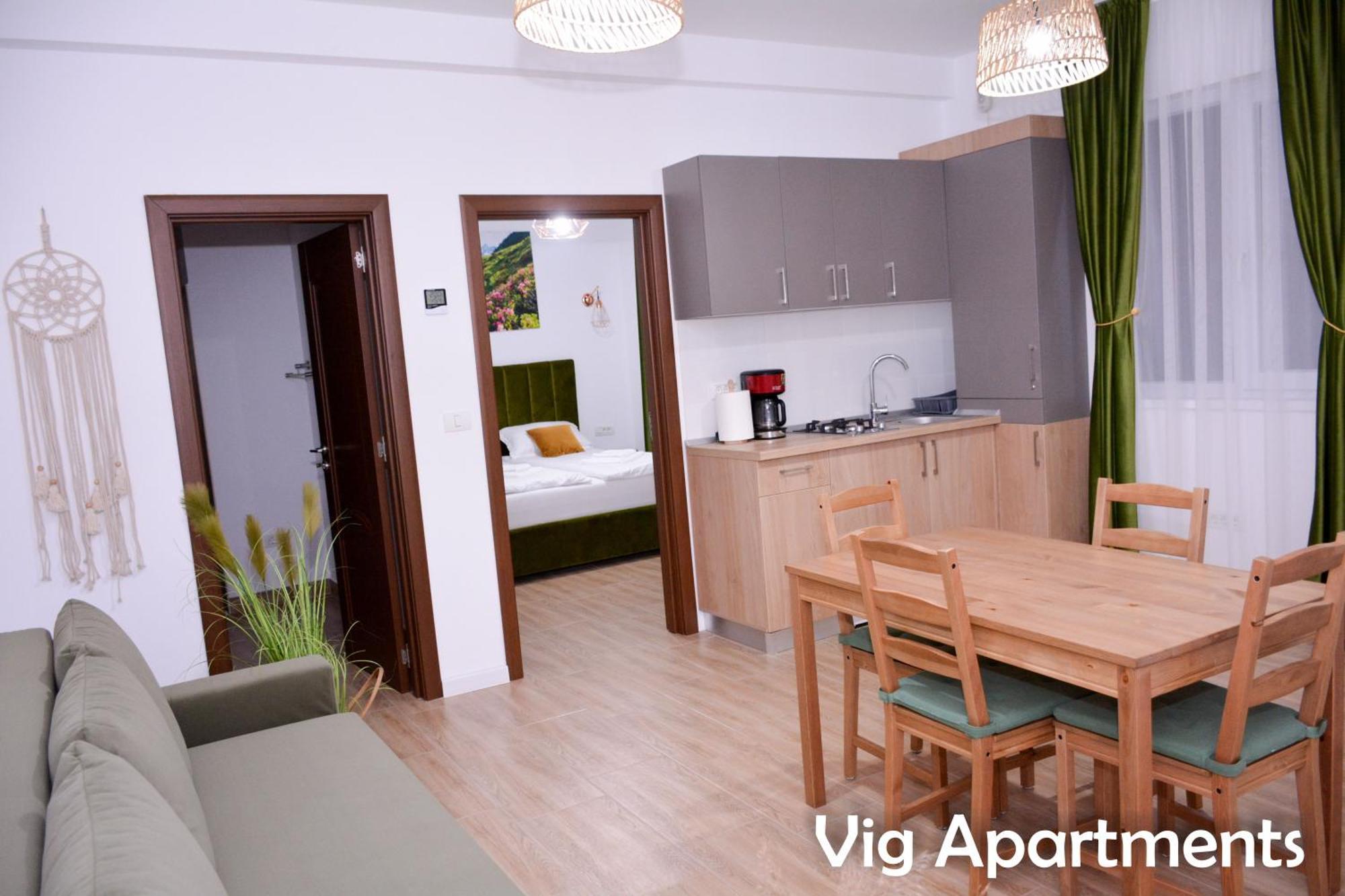 Vig Apartments Τιμισοάρα Εξωτερικό φωτογραφία