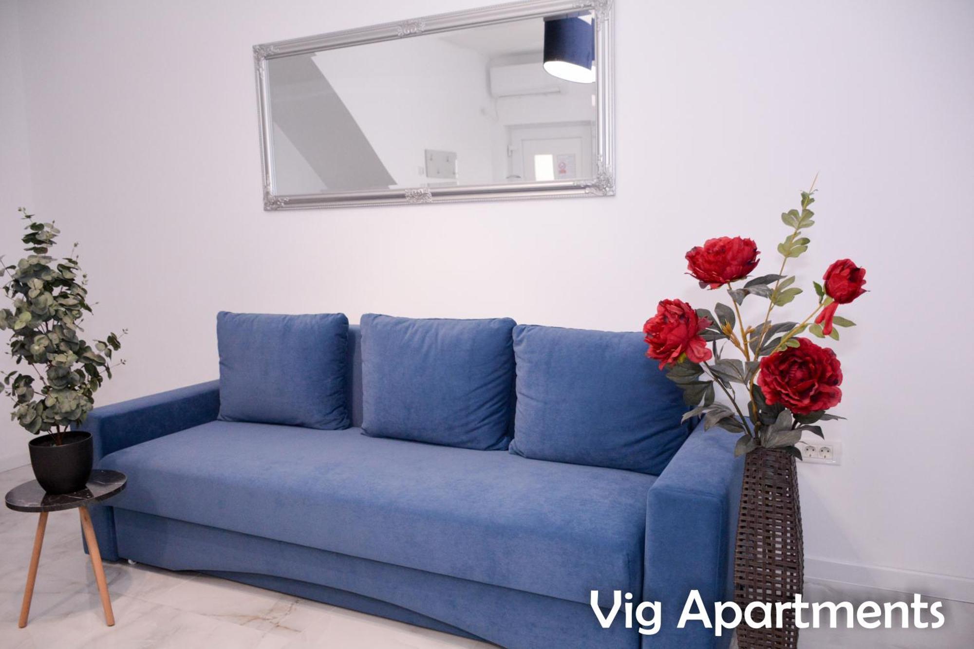 Vig Apartments Τιμισοάρα Εξωτερικό φωτογραφία