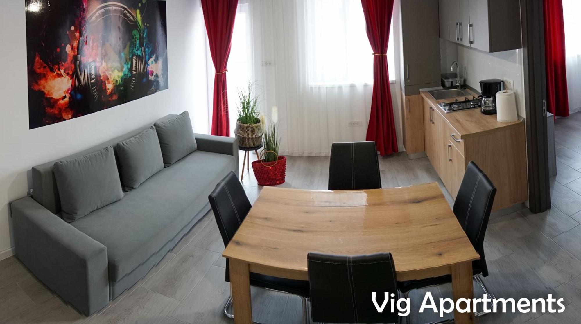 Vig Apartments Τιμισοάρα Εξωτερικό φωτογραφία