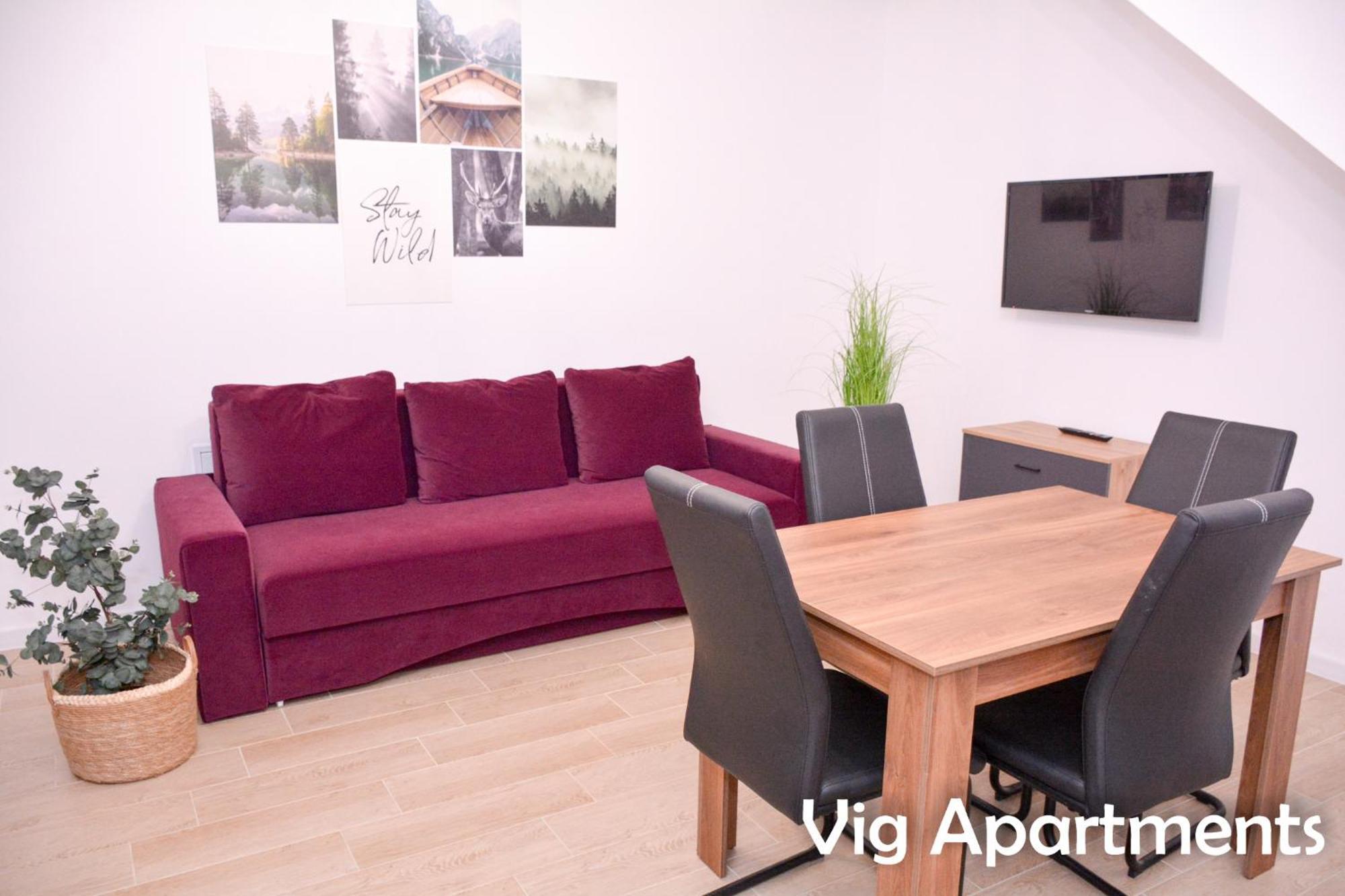 Vig Apartments Τιμισοάρα Εξωτερικό φωτογραφία