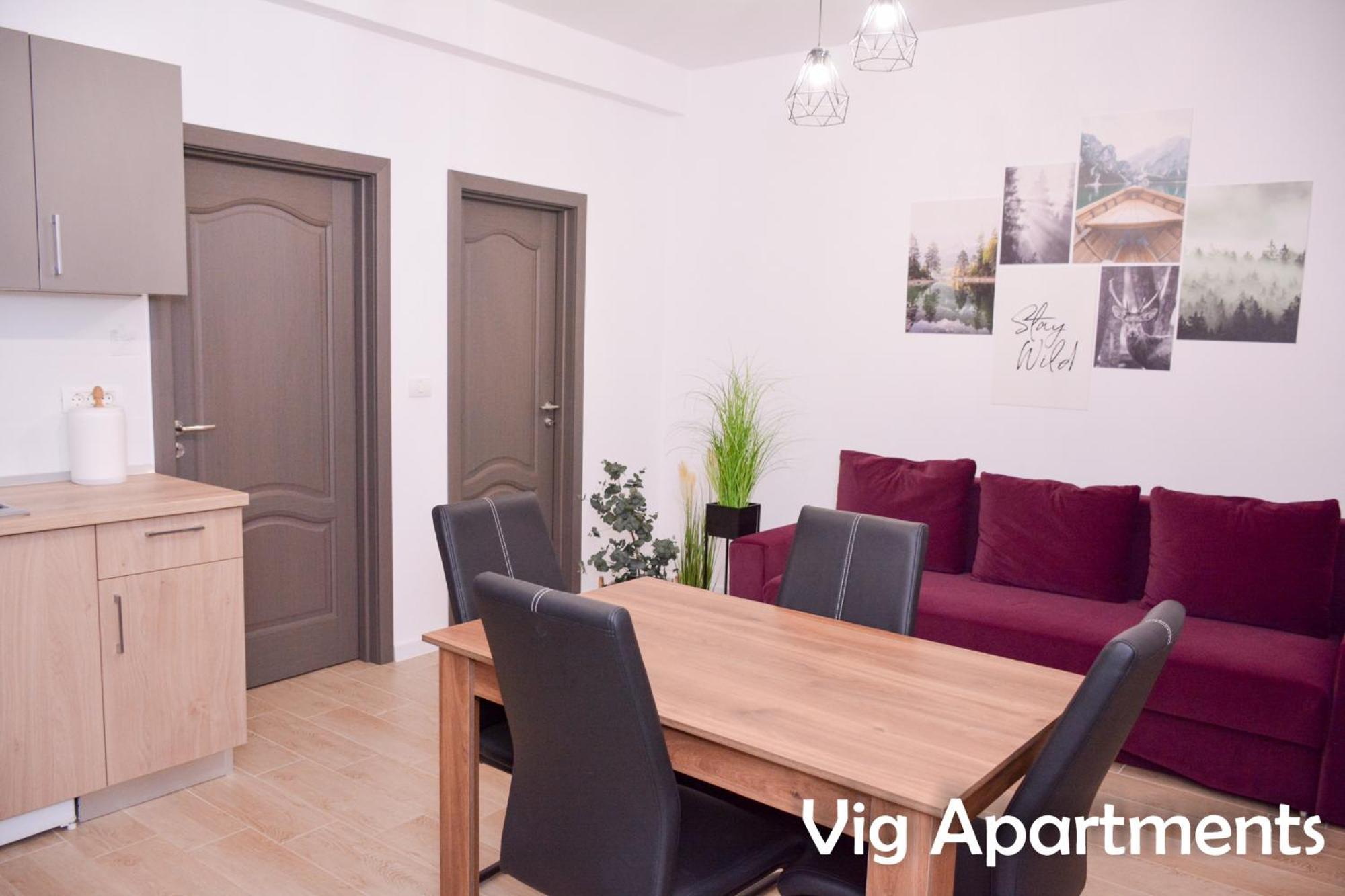 Vig Apartments Τιμισοάρα Εξωτερικό φωτογραφία